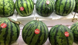 吃瓜炸裂 吃瓜群众在七零,吃瓜群众见证时代变迁