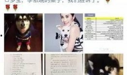 潜规则全书 吃瓜爆料大事件真相,吃瓜爆料大事件真相全解析