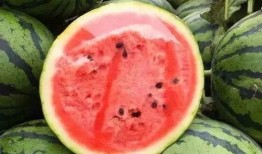 吃瓜炸裂 吃瓜群众在七零,吃瓜群众见证时代变迁